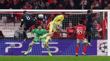 صدام مرتقب.. موعد مباراة ريال مدريد وبنفيكا في دوري أبطال أوروبا 2026